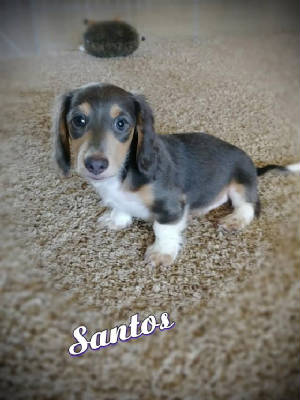 santos9.22.jpg
