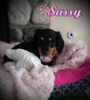 sassy7.10.jpg
